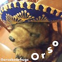 orsobear