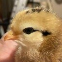 SleepySlap