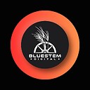 bluestemdigital