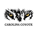 CarolinaCoyote