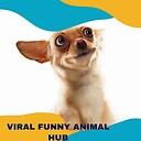 viralfunnyanimalhub