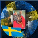 robban49