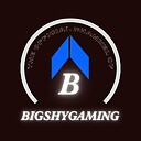 BigShyGaming