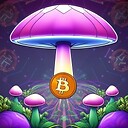 CryptoShroom