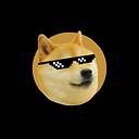 virtualdogesh