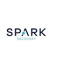 SparkRecoverIN