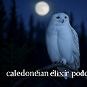 Caledonianelixir