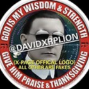 DavidXRPLion335
