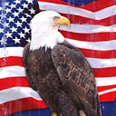 PatriotJohnny