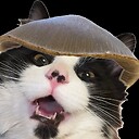 MycoSoup
