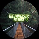 TheFantasticNature