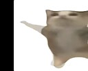 Ryanolicous