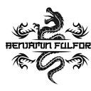BenjaminFulfordsupdate
