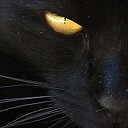 Mrblackcat001