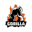 GorillaTMR0