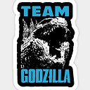 Teamzilla33