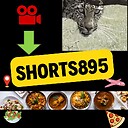 shortsnshorts895
