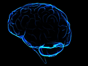 Web4brain