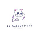 AnimalAnticsTV