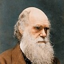 DarwinTheory