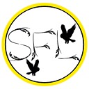 SticksFeathersAndLeather