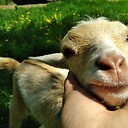 BuiltOnTheRockFarm