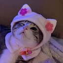 binguschunguscat