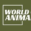 world_of_animals