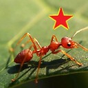 TheRedAnt