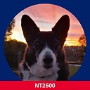 NoisyTurtle2600