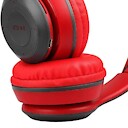 Sanjay1460