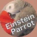 einsteinparrot