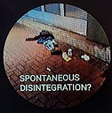 SpontaneousDisintigration