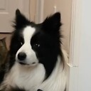 sarahmoorea228