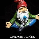 funniestgnome