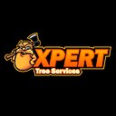 XpertTreeServices