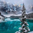 ArcticBliss63
