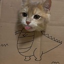 Fun_Bucket