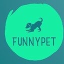 funnypetcatdog