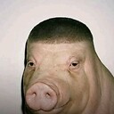 pigguboi6995