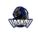 VaskoV11