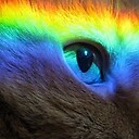 RAINBOWCAT7