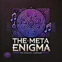 TheMetaEnigma