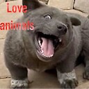 loveanimals93