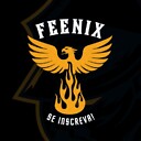 FeenixMX