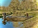 Cypress_Kennels
