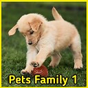 petsfamily1