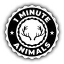 1MinuteAnimals