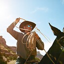 Broncs_and_Donks
