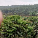 Agriculture13